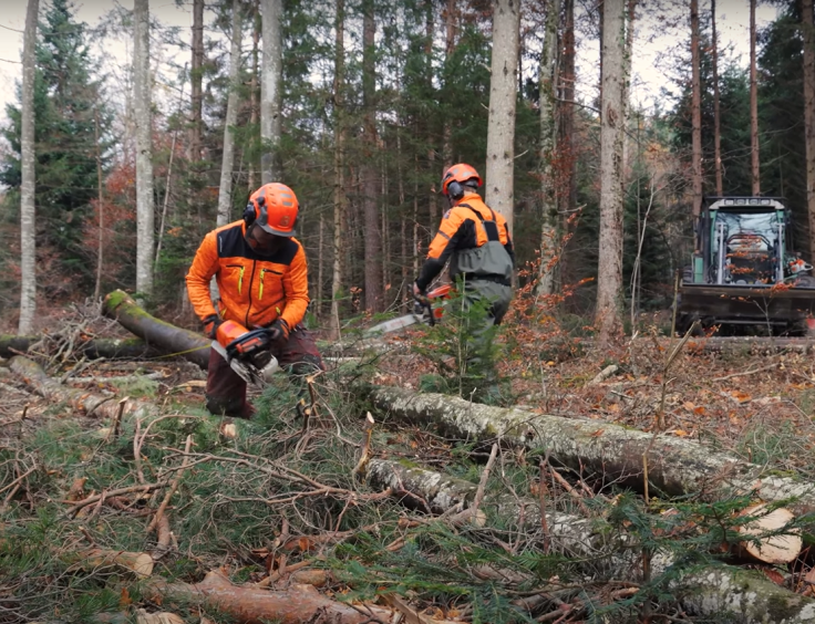 métier de forestier Groupe E